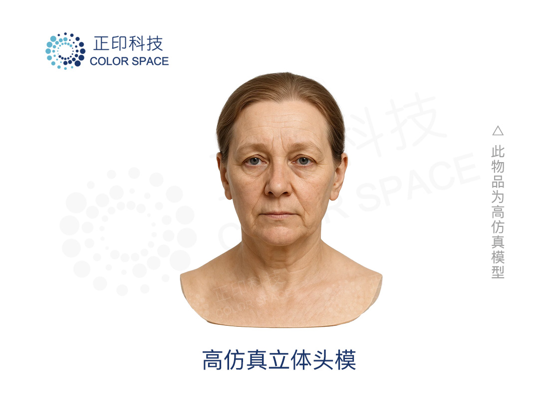 High-Fidelity 3D Head Model