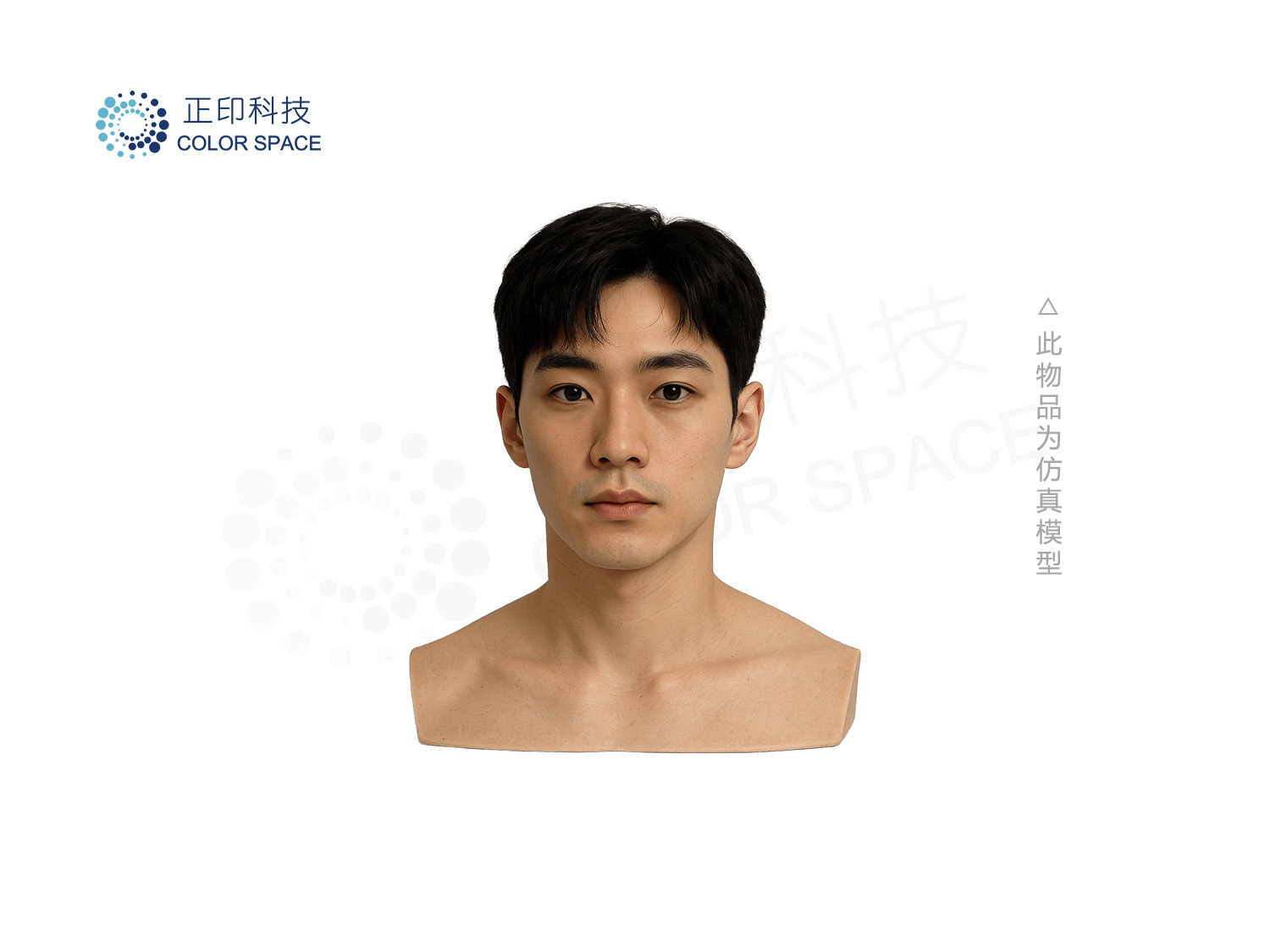 High-Fidelity 3D Head Model