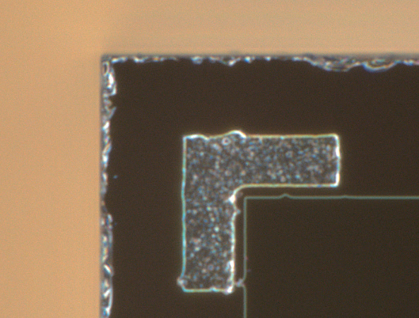 探测器电极(暗场照明2000x)