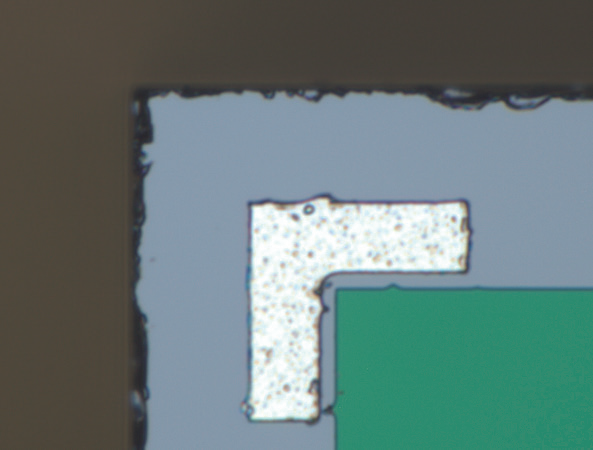 探测器电极（明场照明 2000×）