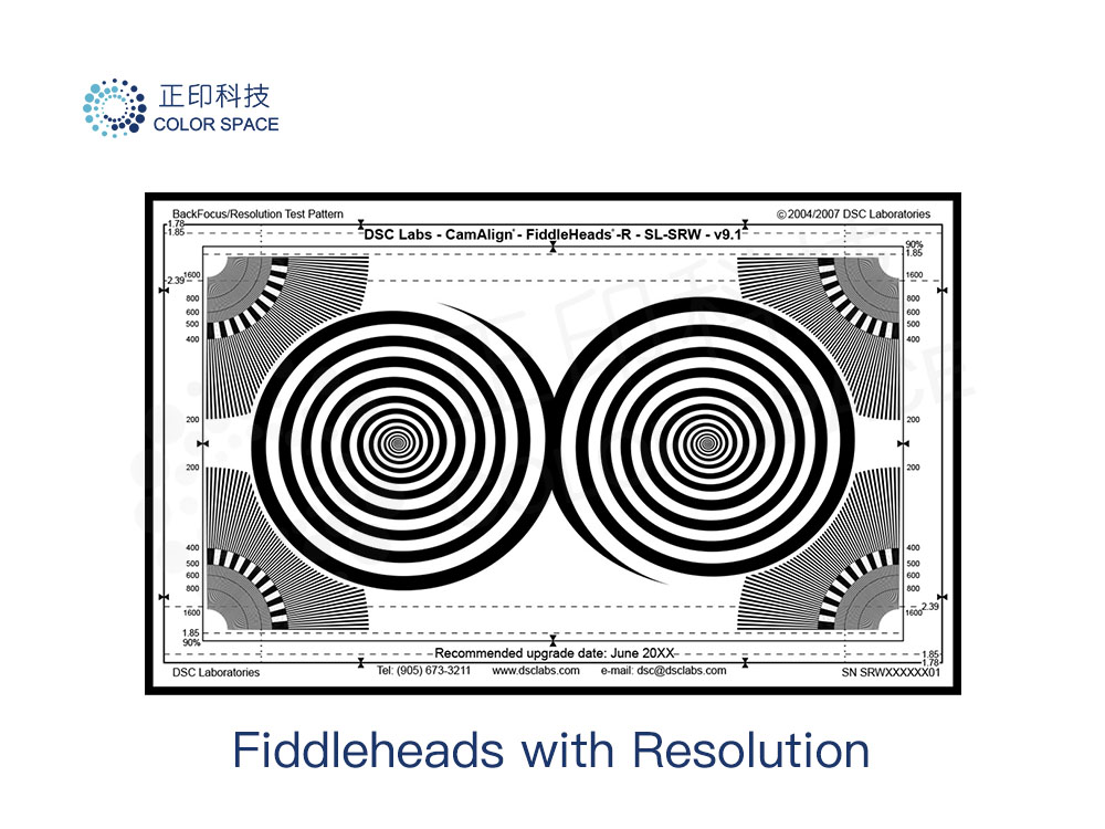 Fiddleheads with Resolution