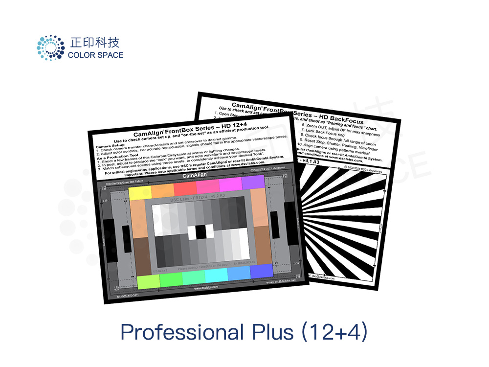 Professional Plus（12+4）