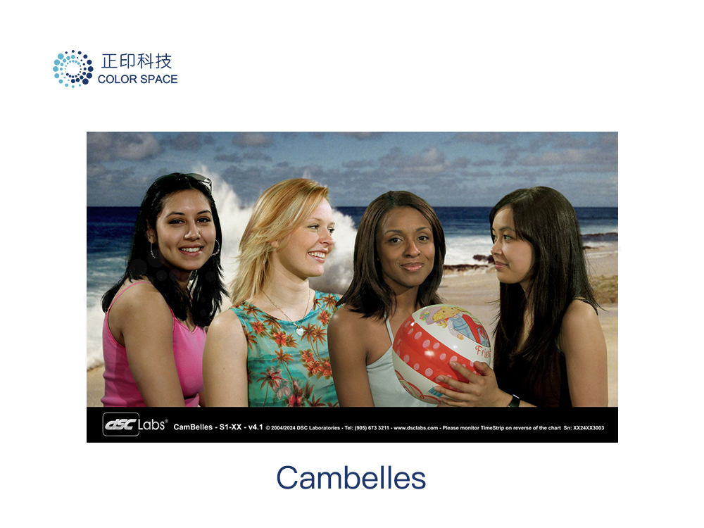 CamBelles色彩测试卡（四色肤色卡）
