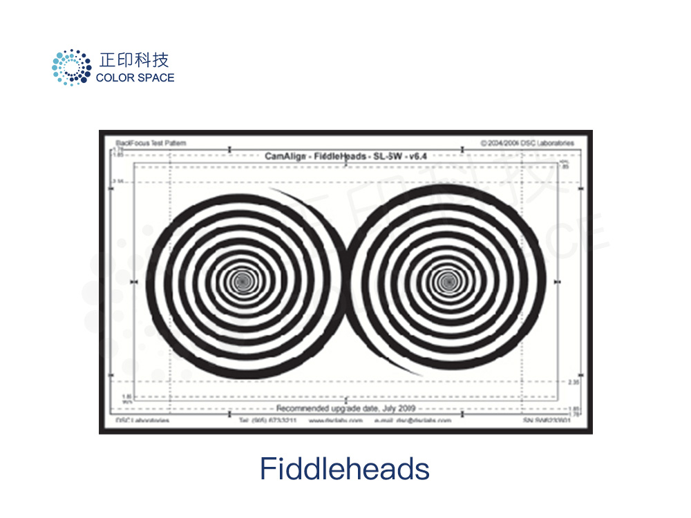 Fiddleheads_DSC Labs